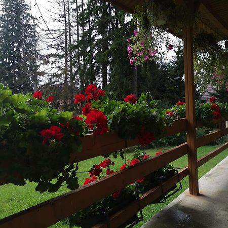 Cabana Fantanita Cu Brazi Poiana Brasov Buitenkant foto