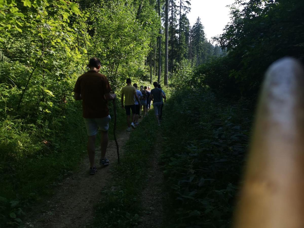 Cabana Fantanita Cu Brazi Poiana Brasov Buitenkant foto