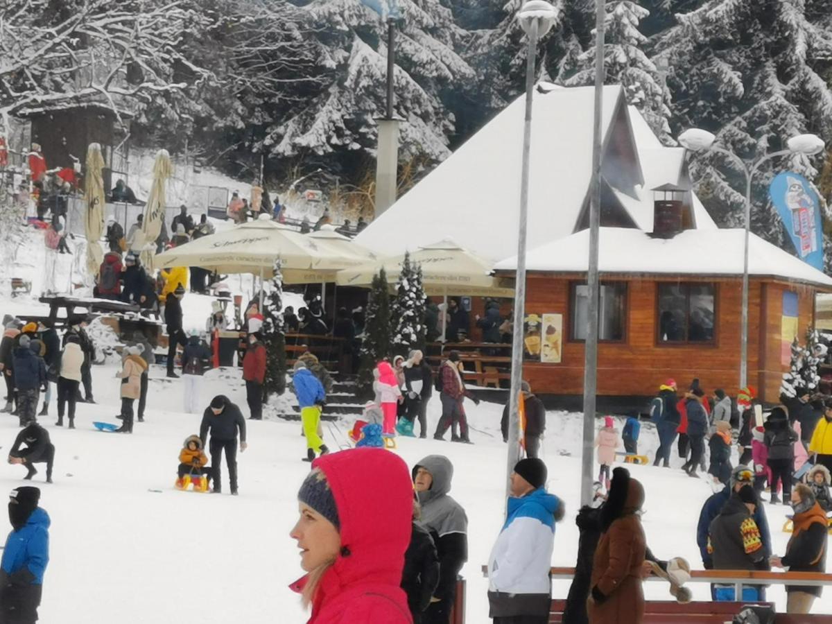 Cabana Fantanita Cu Brazi Poiana Brasov Buitenkant foto