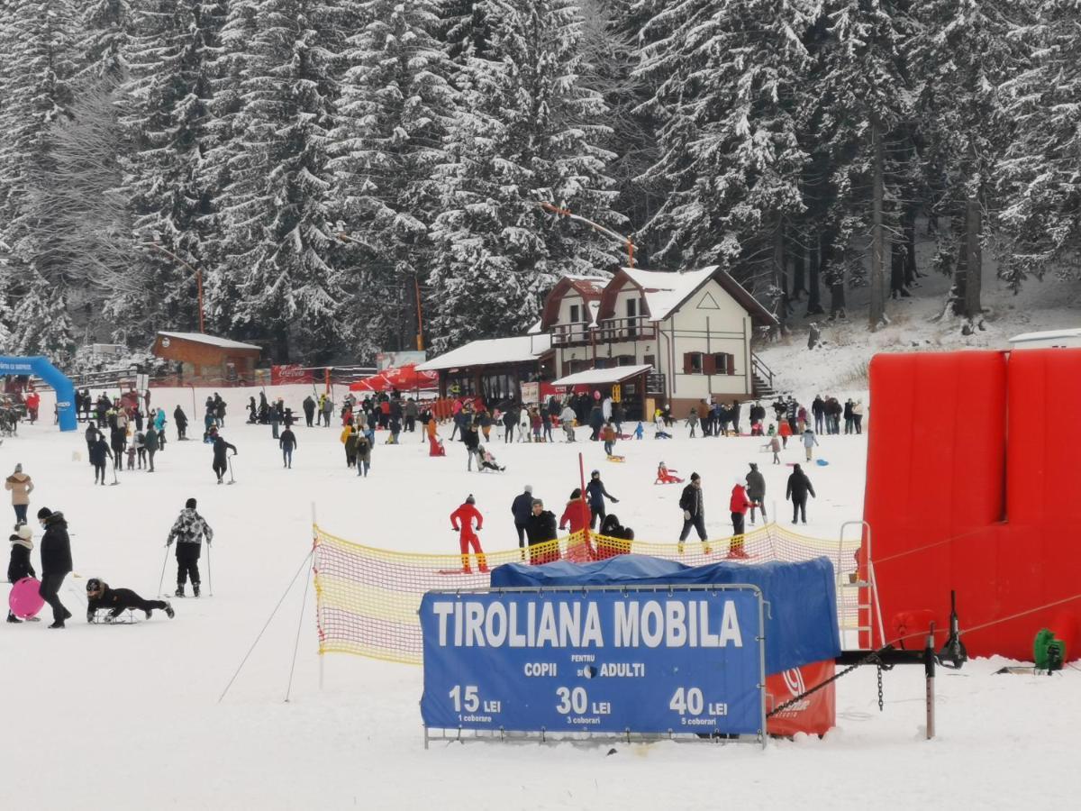 Cabana Fantanita Cu Brazi Poiana Brasov Buitenkant foto