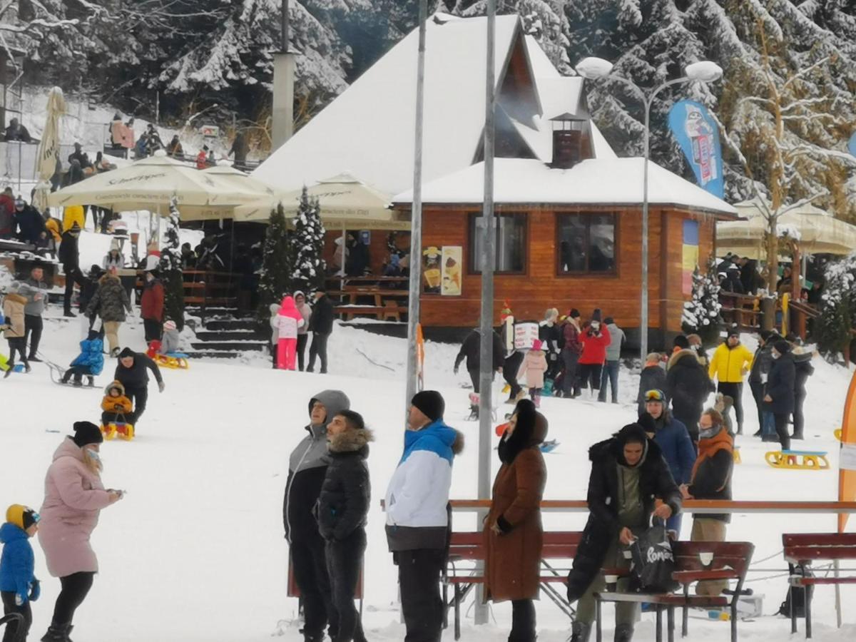 Cabana Fantanita Cu Brazi Poiana Brasov Buitenkant foto