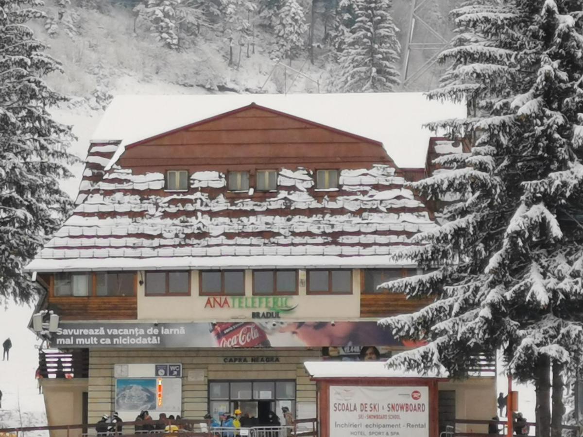 Cabana Fantanita Cu Brazi Poiana Brasov Buitenkant foto