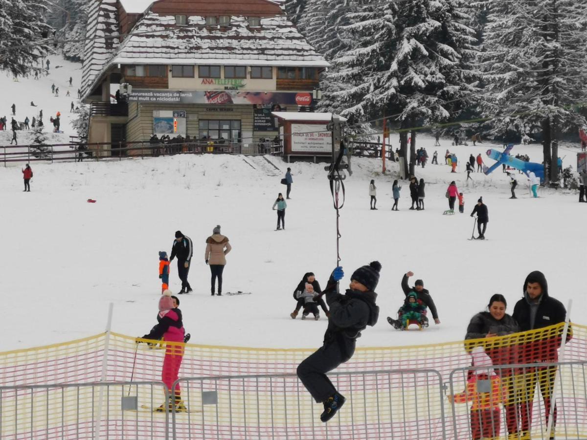 Cabana Fantanita Cu Brazi Poiana Brasov Buitenkant foto