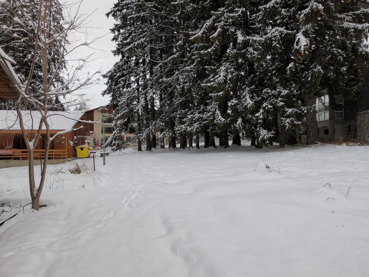 Cabana Fantanita Cu Brazi Poiana Brasov Buitenkant foto