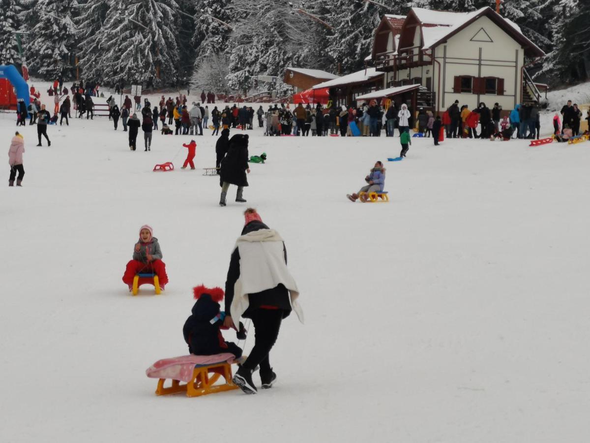 Cabana Fantanita Cu Brazi Poiana Brasov Buitenkant foto