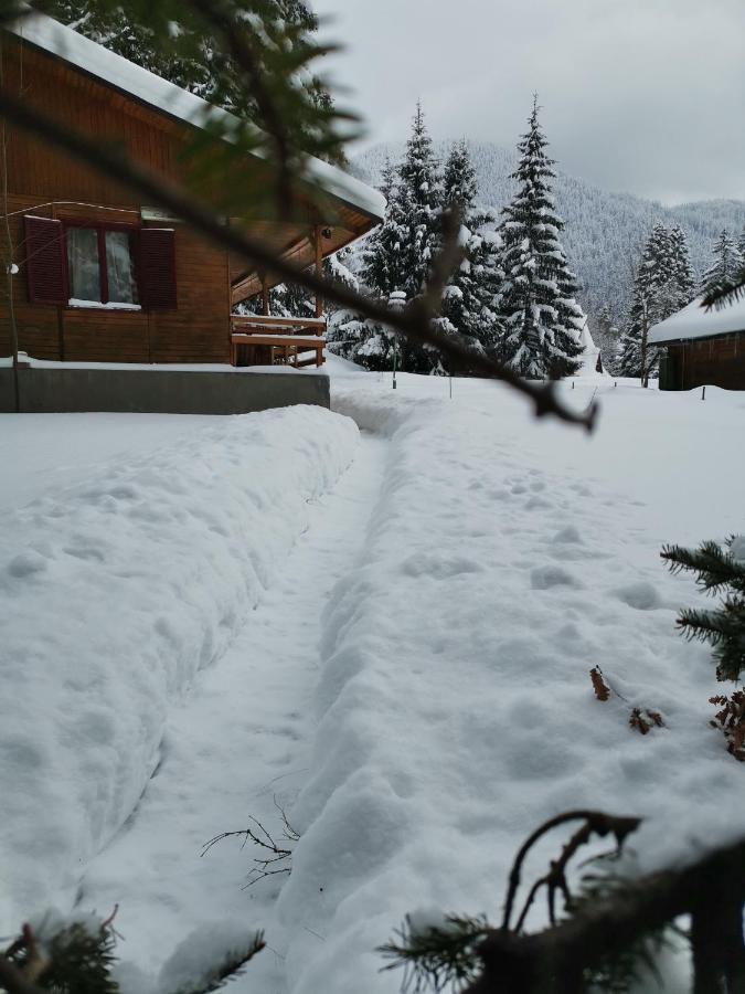 Cabana Fantanita Cu Brazi Poiana Brasov Buitenkant foto