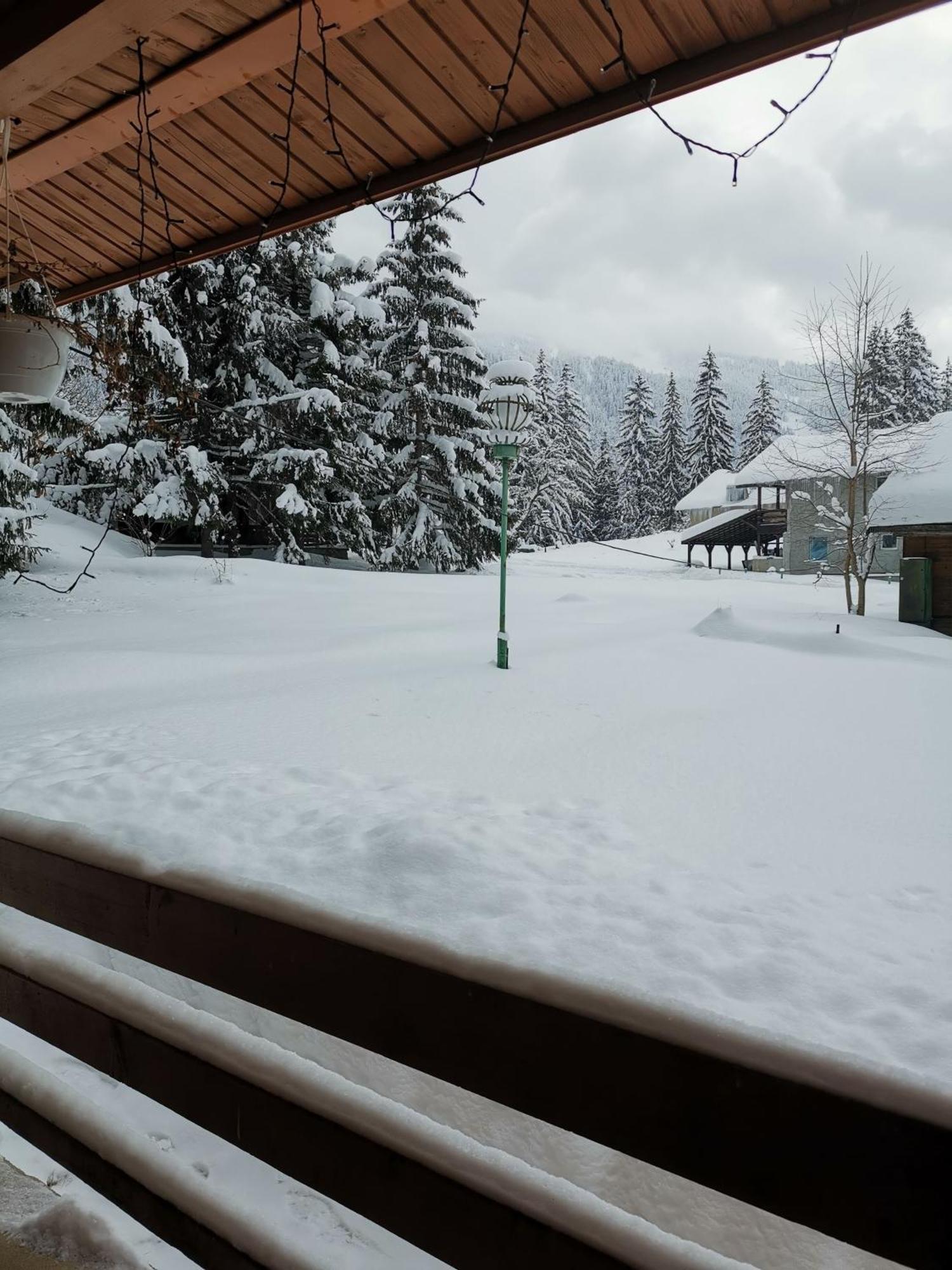 Cabana Fantanita Cu Brazi Poiana Brasov Buitenkant foto