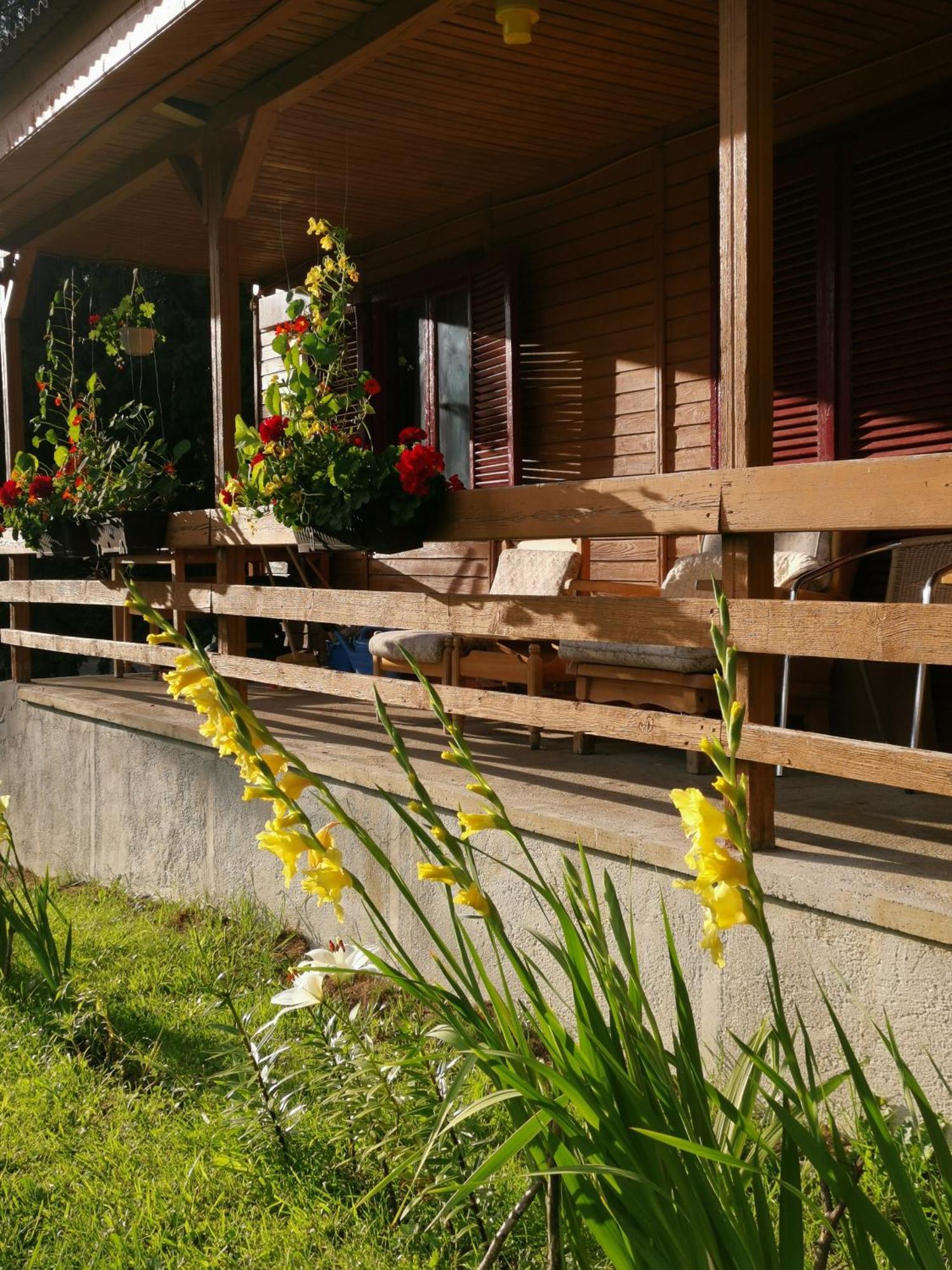 Cabana Fantanita Cu Brazi Poiana Brasov Buitenkant foto