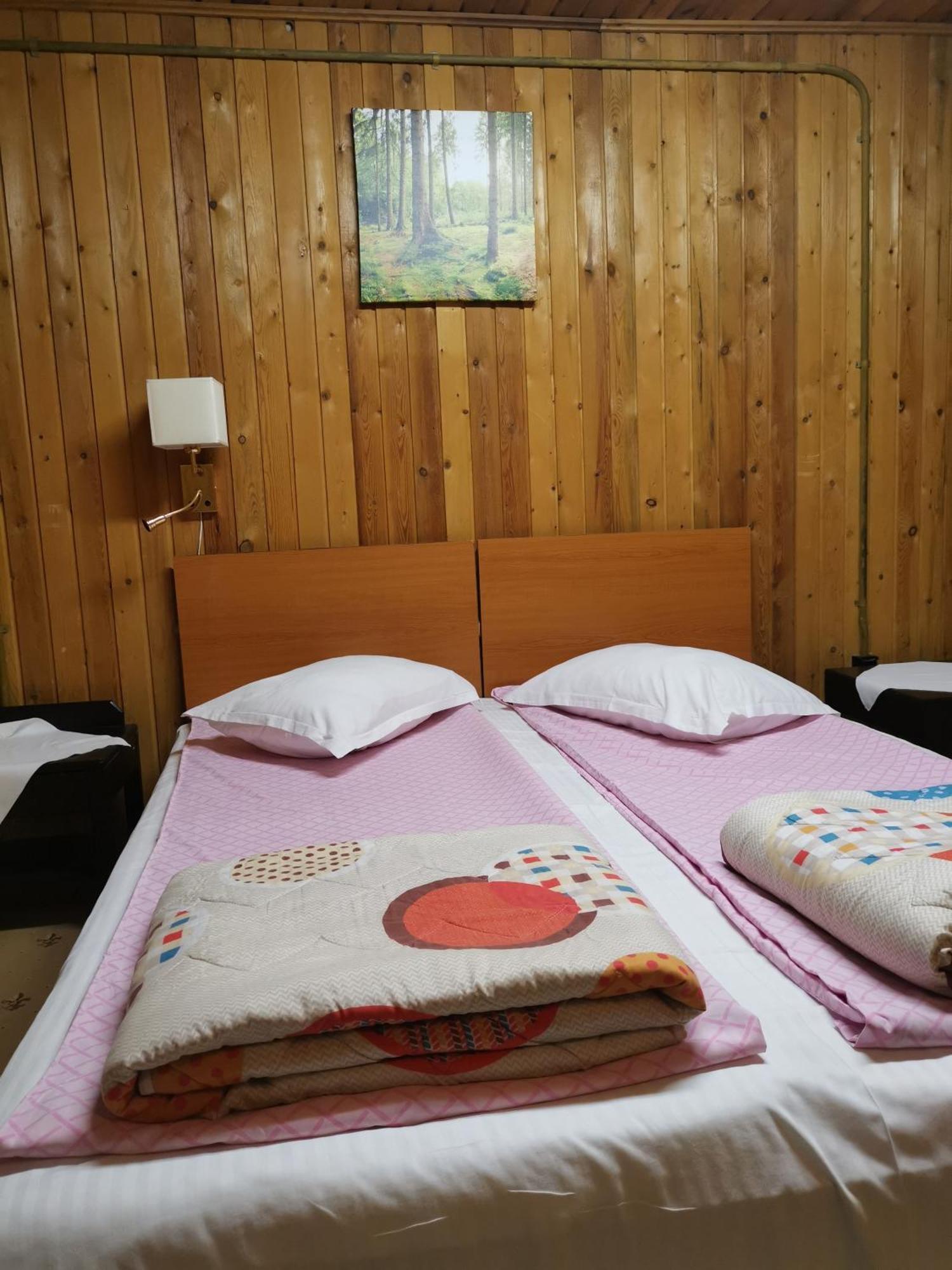Cabana Fantanita Cu Brazi Poiana Brasov Buitenkant foto