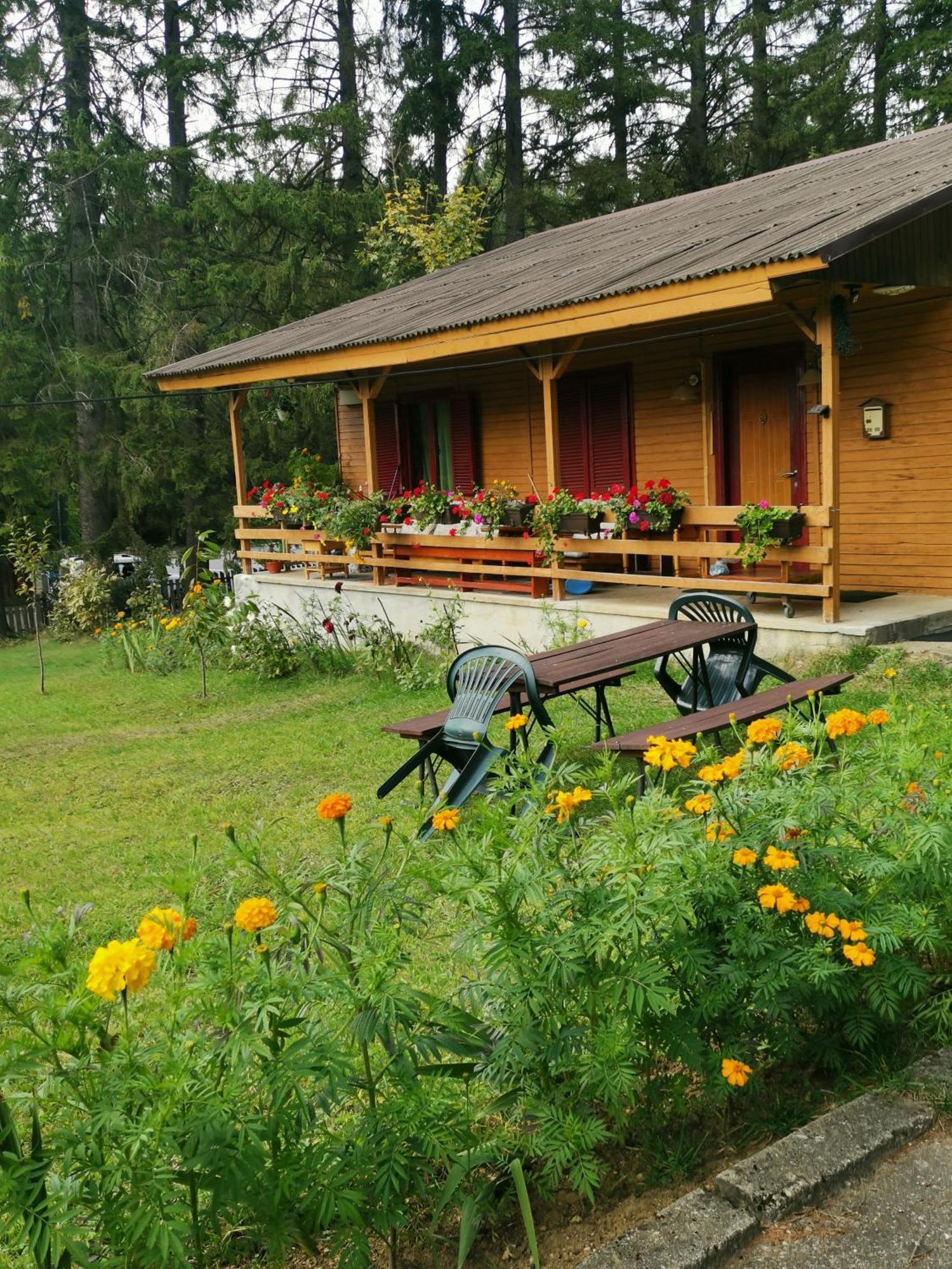 Cabana Fantanita Cu Brazi Poiana Brasov Buitenkant foto